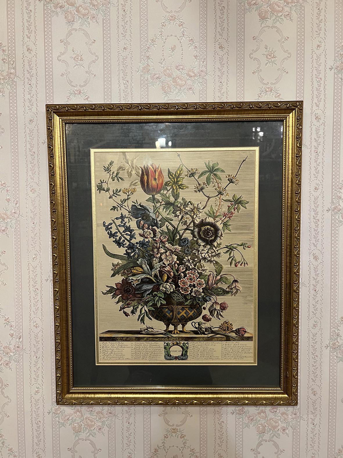 【🇬🇧 英國・《FEBRUARY》花卉圖鑑掛畫・古典植物學風格】