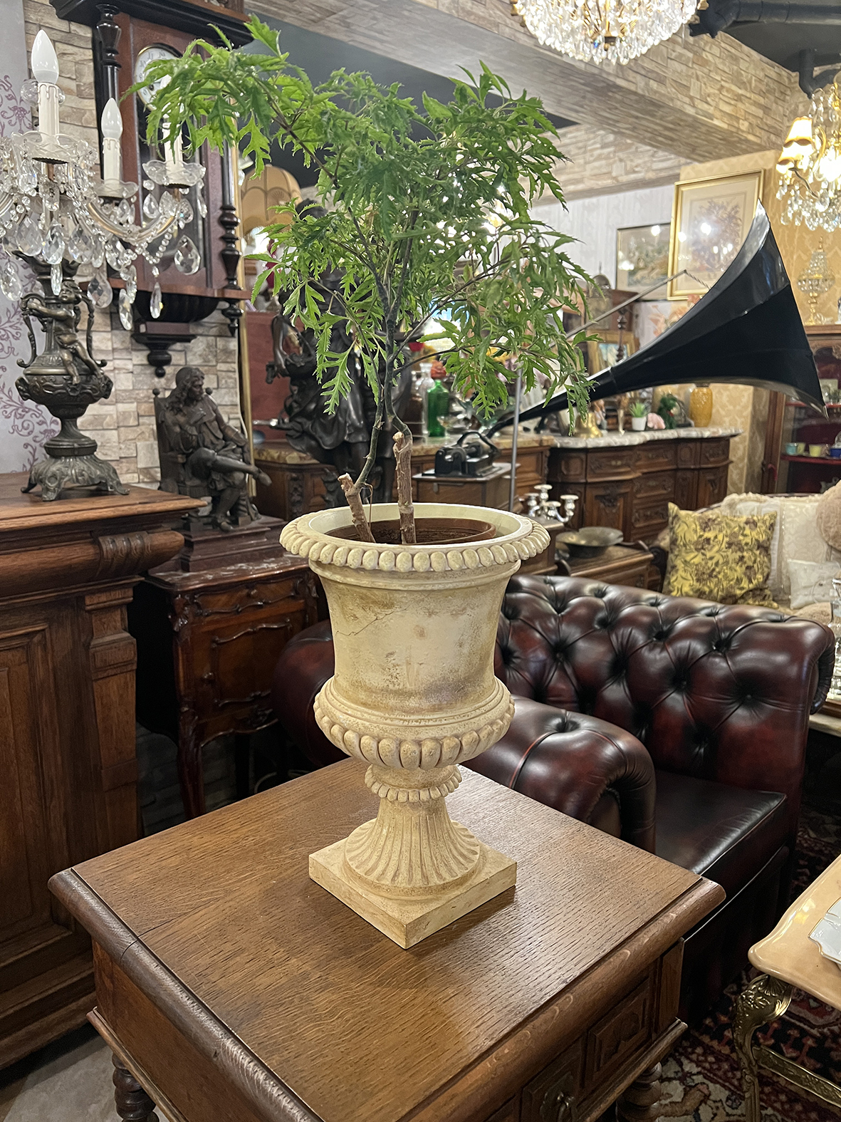 【🇮🇹 義大利・Medici 風格立柱式石材花器・優雅生活選物】